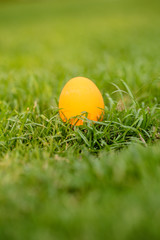 Colorful Easter eggs background. holiday, easter background. Colorful easter eggs on the green garden yard. symbol of easter's day festival. vivid color natural background. festive wallpaper.