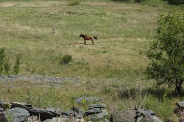 Archaeological monument of Arkaim