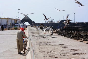 Essaouira - Marroc