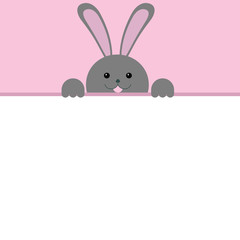rabbit on pink background 2
