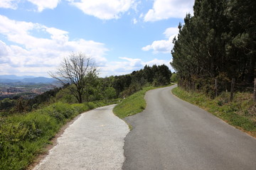 gelber Pfeil am Camino del Norte mit Beginn in Irun