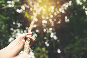 Closeup hand of person holding rope in forest nature concept is for idea or sport.