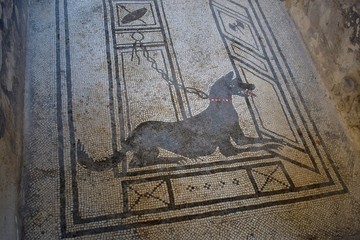 Pompeje, Wezuwiusz, Włochy © Urszula