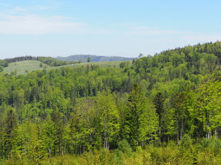 Cool Salmopol pass near Kotarz mount in Silesian Beskids Mountains range landscape at european Szczyrk city, Poland