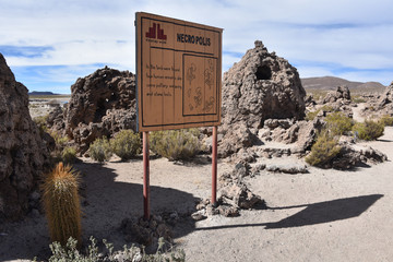 Ancient human remains buried in traditional Chullpas at the Necropolis of San Juan
