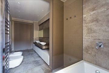 Beautiful and modern bathroom