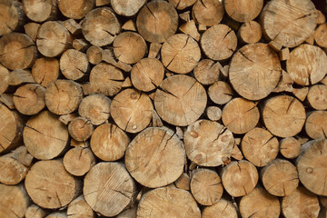 The tree is cut. Background or texture