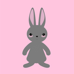 Fototapeta premium bunny on pink background