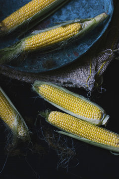 Sweet yellow corn on the cob, on a dark table