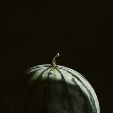 A close up macro photo of a watermelon on a dark background
