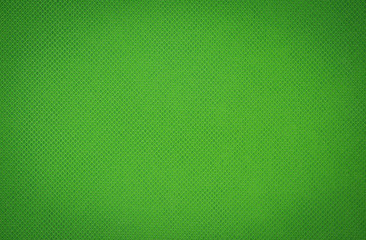 Green texture background from detail of leather.