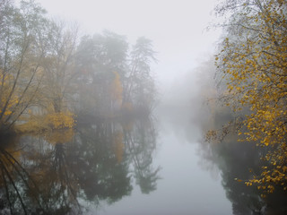 Foggy dawn. Colorful autumn forest near the lake, mistic fog in the morning, lake at dawn with clouds reflected in the calm water, thick dense fog