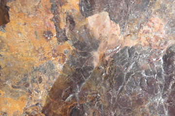 picture Jasper