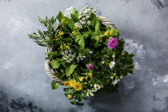 Meadow and Medicinal herbs for clean eating biohackers paleo diet