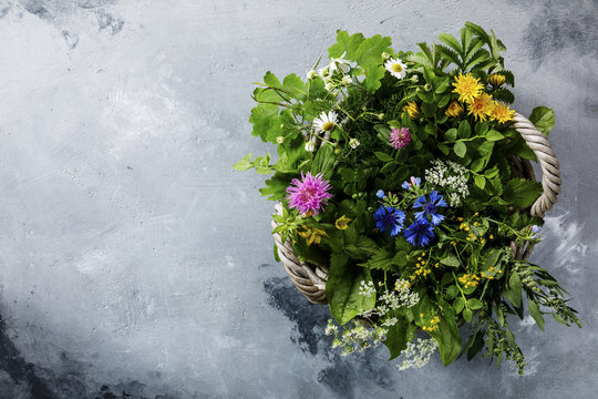 Meadow and Medicinal herbs for clean eating biohackers paleo diet