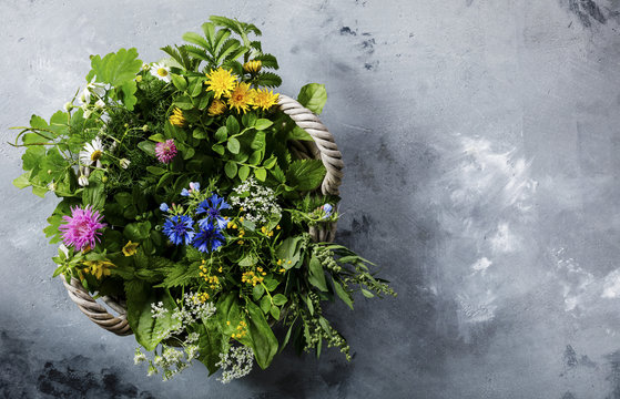 Meadow and Medicinal herbs for clean eating biohackers paleo diet
