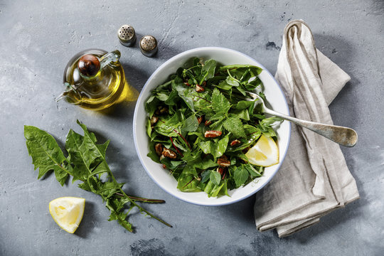 Salad from Meadow and Medicinal herbs with dandelion and nettle leaves for clean eating biohackers paleo diet