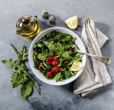 Salad from Meadow and Medicinal herbs with dandelion and nettle leaves for clean eating biohackers paleo diet