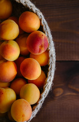 Freshly Picked Apricots