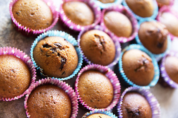 Homemade muffins with chocolate chips