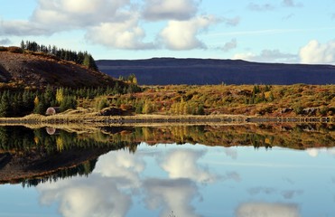 Fototapeta na wymiar Fotografía de paisaje simétrico perfecto, bosque y lago con su reflejo y el del cielo nublado. Un paisaje de calma y tranquilidad en Islandia.
