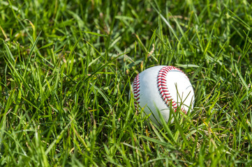 A white baseball on the fresh green grass