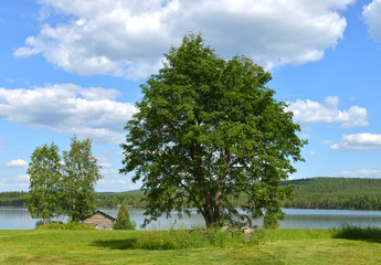 Northern landscape in summer. Lake. Finnish Lapland