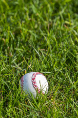A white baseball on the fresh green grass
