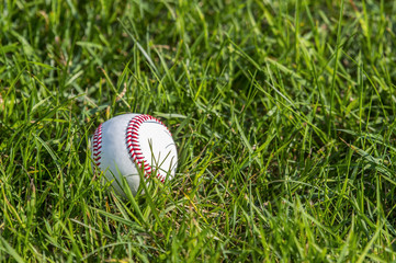 A white baseball on the fresh green grass