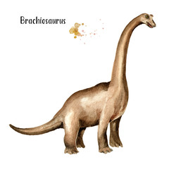 Brachiosaurus dinosaur. Watercolor hand drawn illustration, isolated on white background
