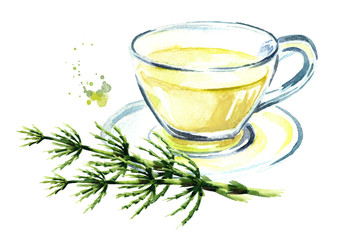 Cup of medicinal Horsetail tea,  herbtea, Medicinal plant. Watercolor hand drawn illustration, isolated on white background