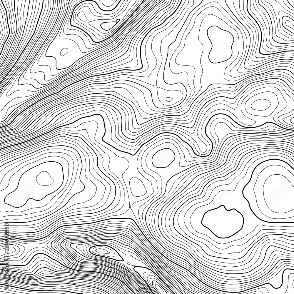 Poster vector contour topographic map background. topography and geography map grid abstract backdrop. busi