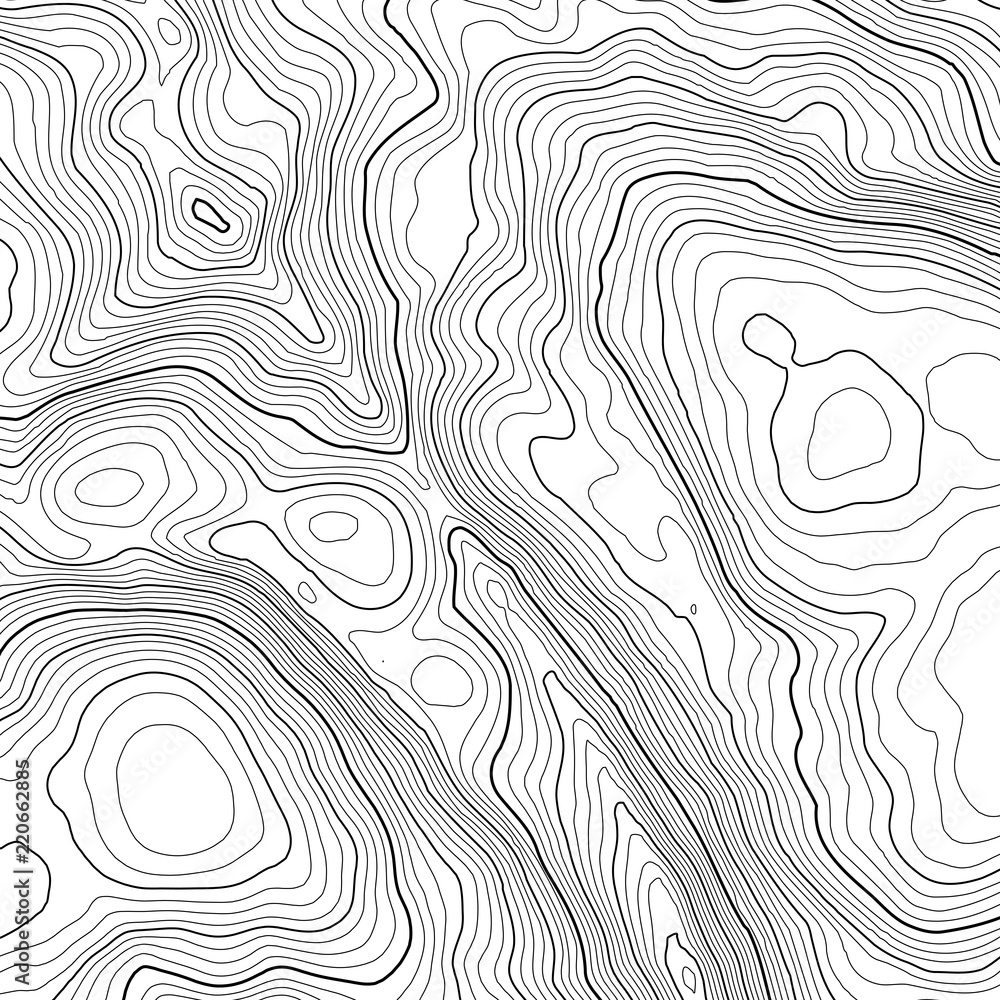 Poster vector contour topographic map background. topography and geography map grid abstract backdrop. busi