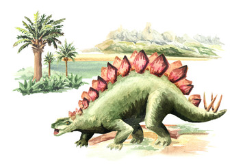 Stegosaurus dinosaur in prehistorical landscape. Watercolor hand drawn illustration, isolated on white background © dariaustiugova
