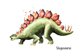 Stegosaurus dinosaur. Watercolor hand drawn illustration, isolated on white background