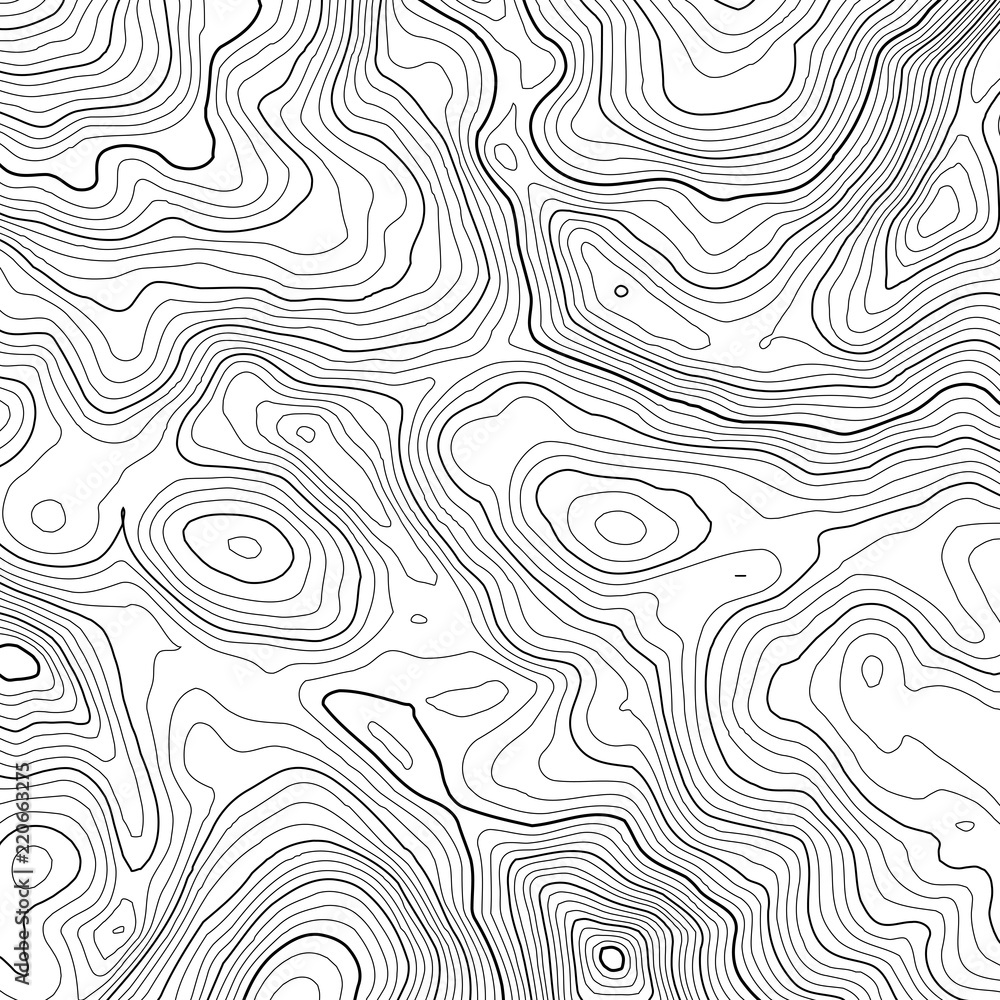 Poster vector contour topographic map background. topography and geography map grid abstract backdrop. busi