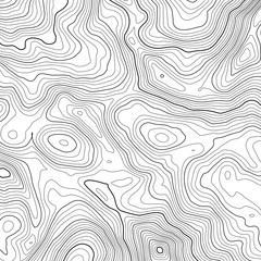 Vector contour topographic map background. Topography and geography map grid abstract backdrop. Business concept. Vector illustration
