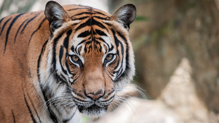 Ich hab dich im Auge