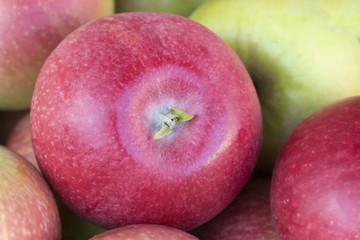  juicy ripe pink apple