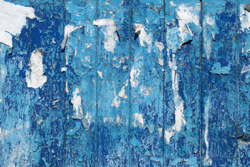 Place for advertising. The old boards are painted with blue paint with cracks.