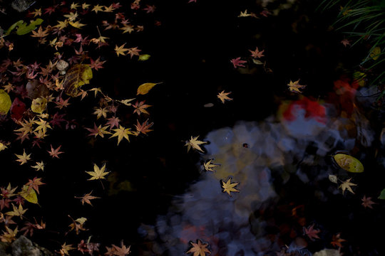 Float on water