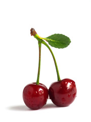 Cherry ripe on white background