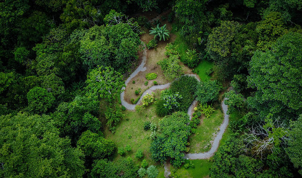 Costa Rica Garten