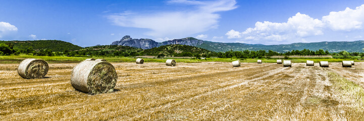 Panorama of the agricultural field