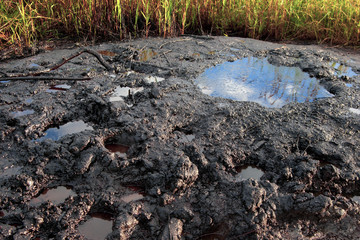 Spills of crude oil on the soil surface. Crater of the volcano. Mud volcano