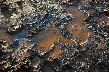 Spills of crude oil on the soil surface - environment pollution. A picture of watter drops on the...