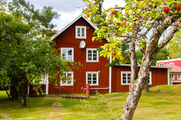 A typical red and white Scandinavian house for a family on the countryside in Sweden with a lot of...