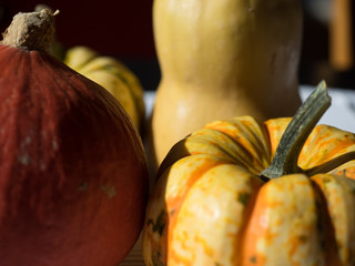 Close-up of small pumkins