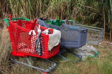 carritos de compra de un indigente