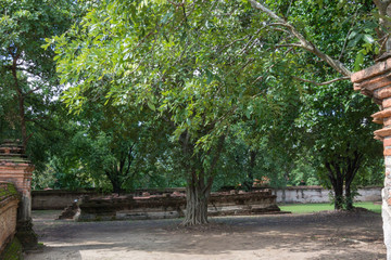 タイ・アユタヤ・遺跡・仏陀・Wat Maheyong